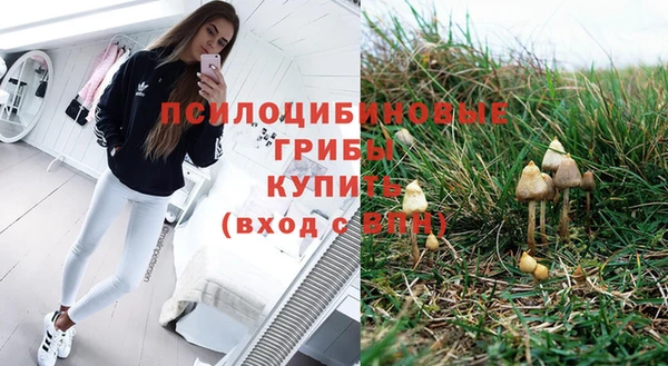 ешки Нягань