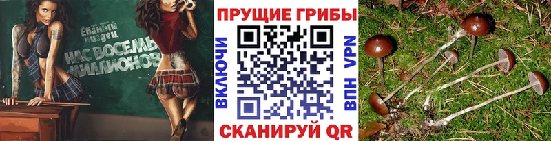 даркнет сайт  Кораблино  Галлюциногенные грибы Magic Shrooms 