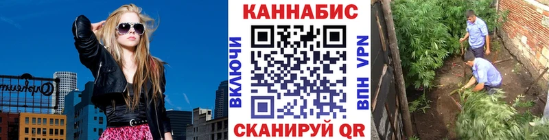 Бошки марихуана OG Kush Кораблино